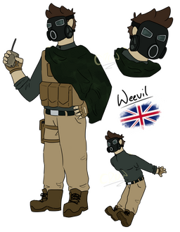 Weevil